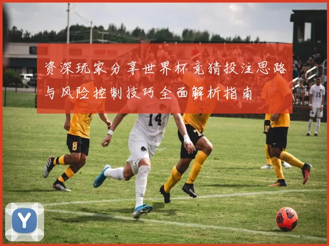 资深玩家分享世界杯竞猜投注思路与风险控制技巧全面解析指南