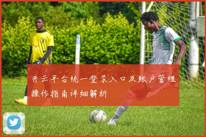 开云平台统一登录入口及账户管理操作指南详细解析