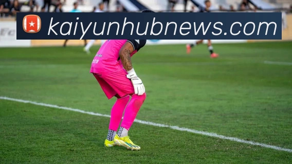 开云官方最新登录入口全面指南及使用技巧解析